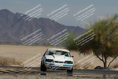 media/Oct-12-2025-Lucky Dog Racing (Sun) [[8adb5568ea]]/3-Third    Stint/4-Turn 4 (Tree of Life)/